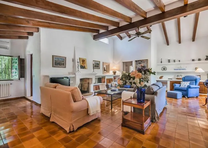 Papalaia * פוינסה