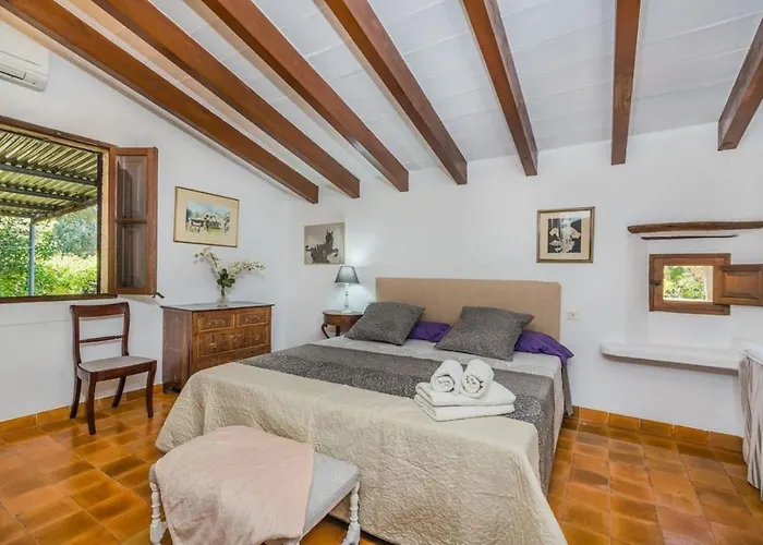 Papalaia * פוינסה