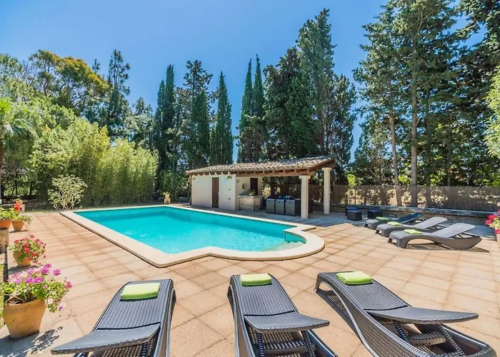 Papalaia פוינסה